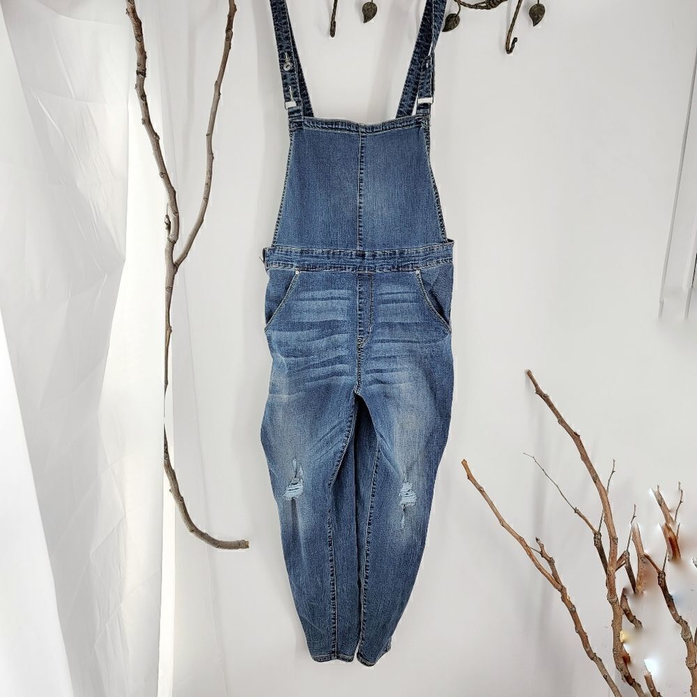Denizen levi stretchy bib overalls skinny